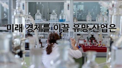 미래 경제를 이끌 유망 산업은? 🤔