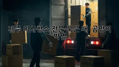 제주 이사청소 전문: 묵은 때 & 곰팡이 박멸!